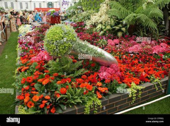 2012 RHS Chelsea Flower Show - Press and VIP Day
