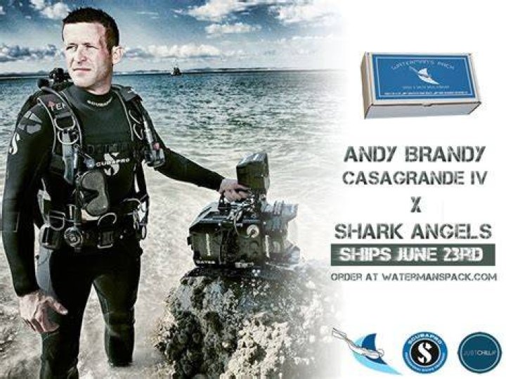 Andy Brandy Casagrande IV