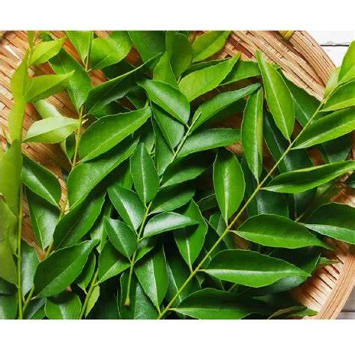 Are fresh curry leaves banned in uk