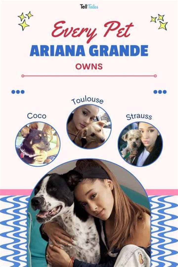 Ariana Lee has a pet dog
