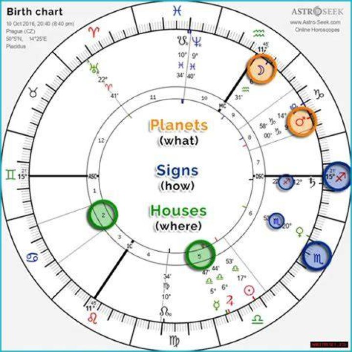 Astrology Birth Chart of Dylan Lee (Model) 2024