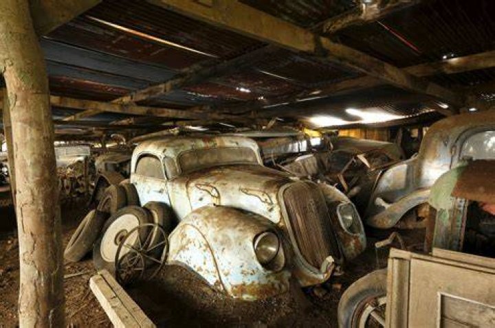 Baillon Collection