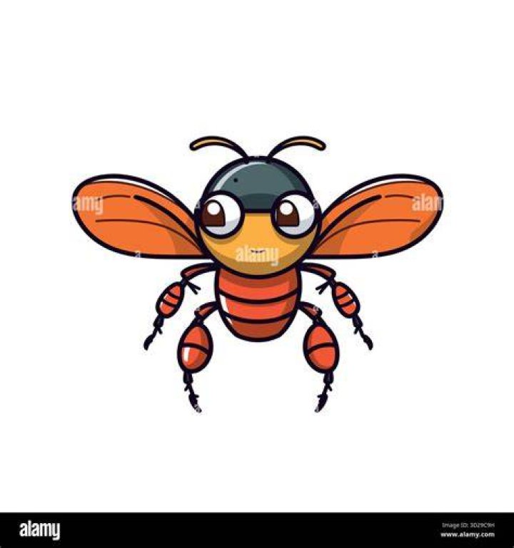 Big Eyes Flying Insect