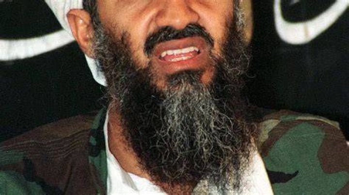 Bin Laden Collection Porn