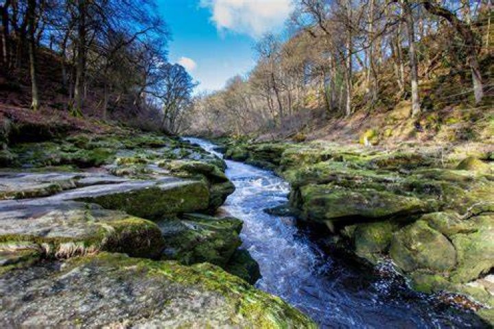 Bolton Strid Picture