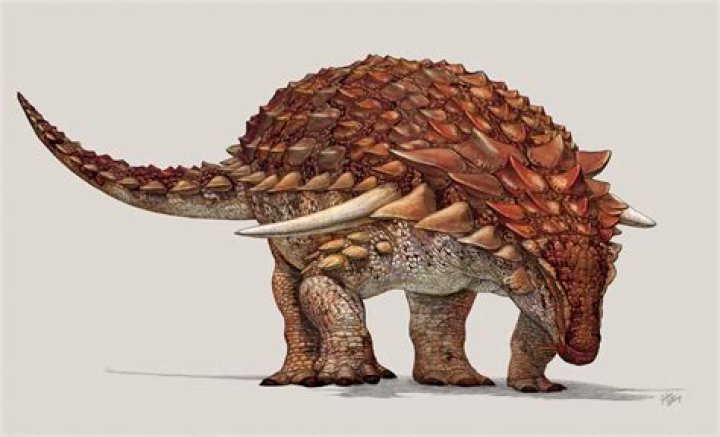 Borealopelta Markmitchelli Illustration