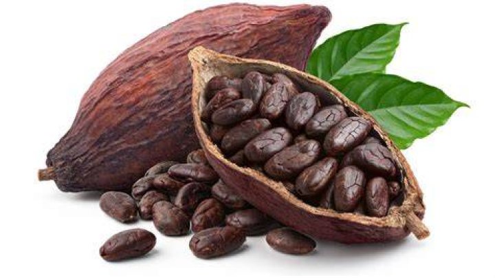 Cacao Beans