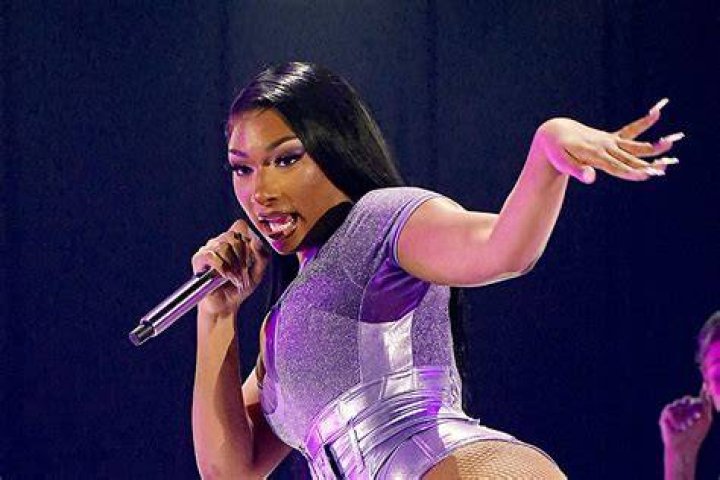 Cam'ron Gets Dragged Over Crude Megan Thee Stallion IG Post
