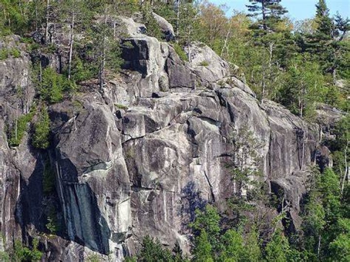Carving On Mount Trudee