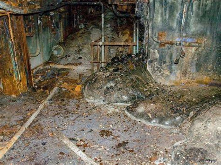 Chernobyl Elephant's Foot