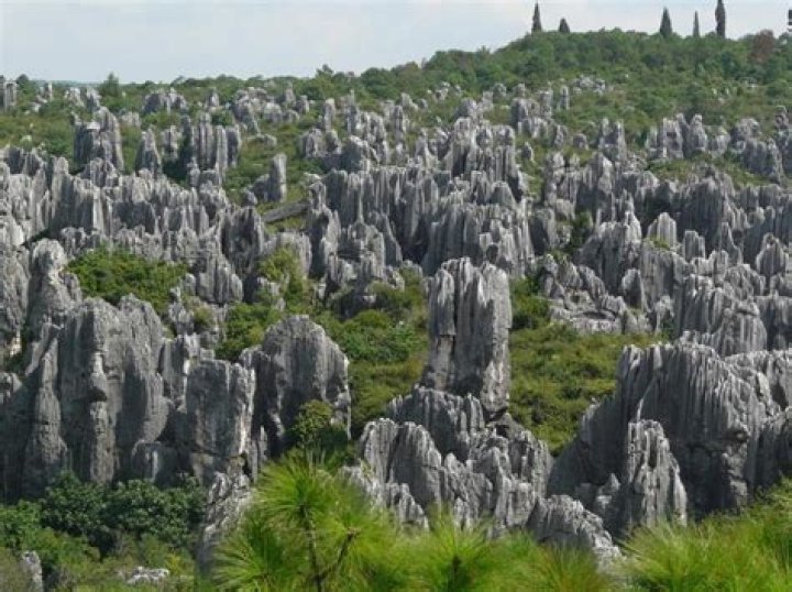 Chinese Stone Forest Picture