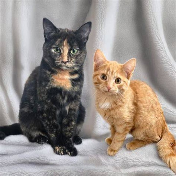 Cinnamon with her pet
