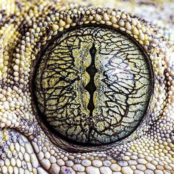 Close Up