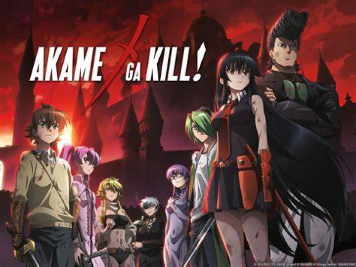 ¿Cuántas temporadas son de Akame ga Kill? - Celebrity.fm