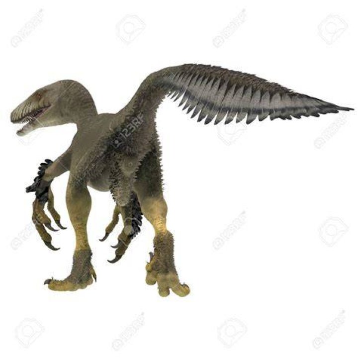 Dakotaraptor