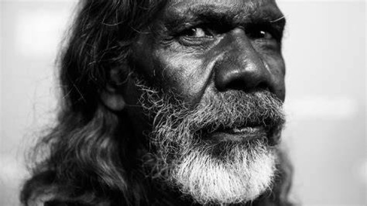 David Gulpilil