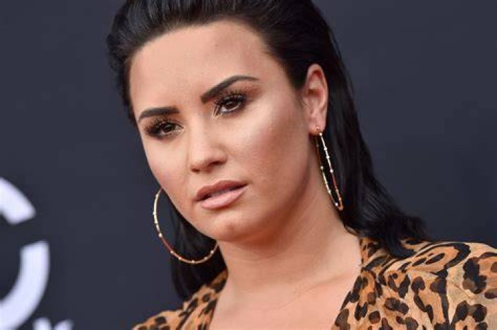 Demi Lovato Unedited Bikini Photo