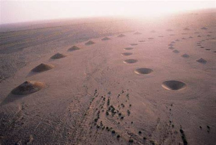 Desert Breath Bright Horizon