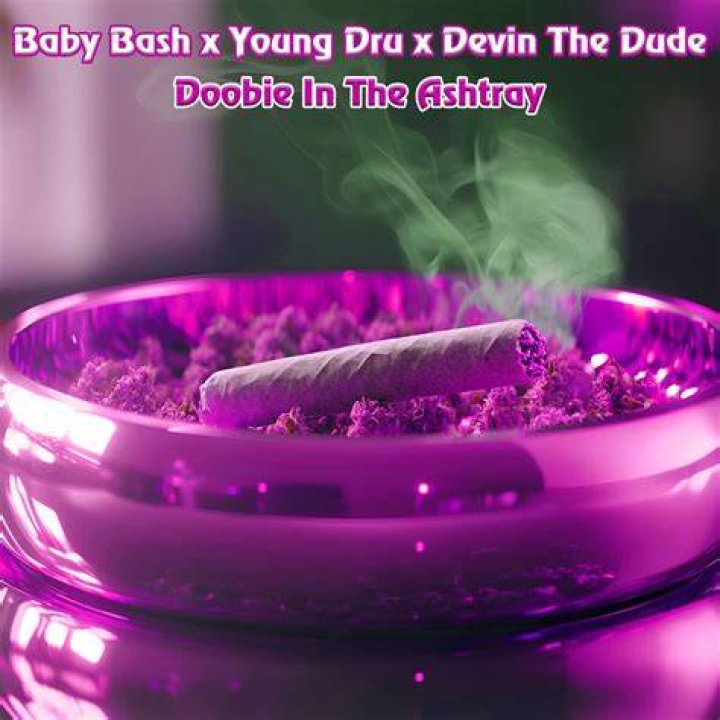 Devin The Dude Dimmed The Lights On 