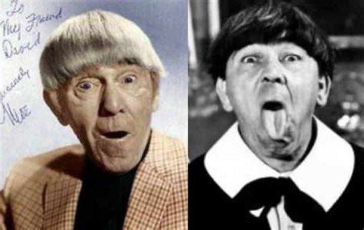Did Moe wear a wig?