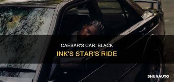 Does Ceasar own black ink Chicago?