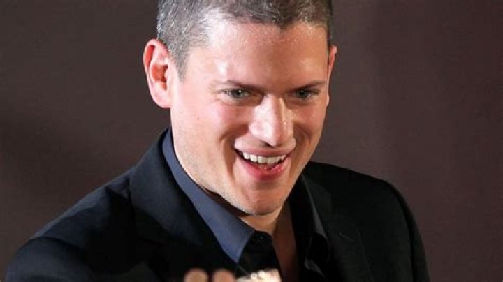 Does Wentworth Miller have a kid?