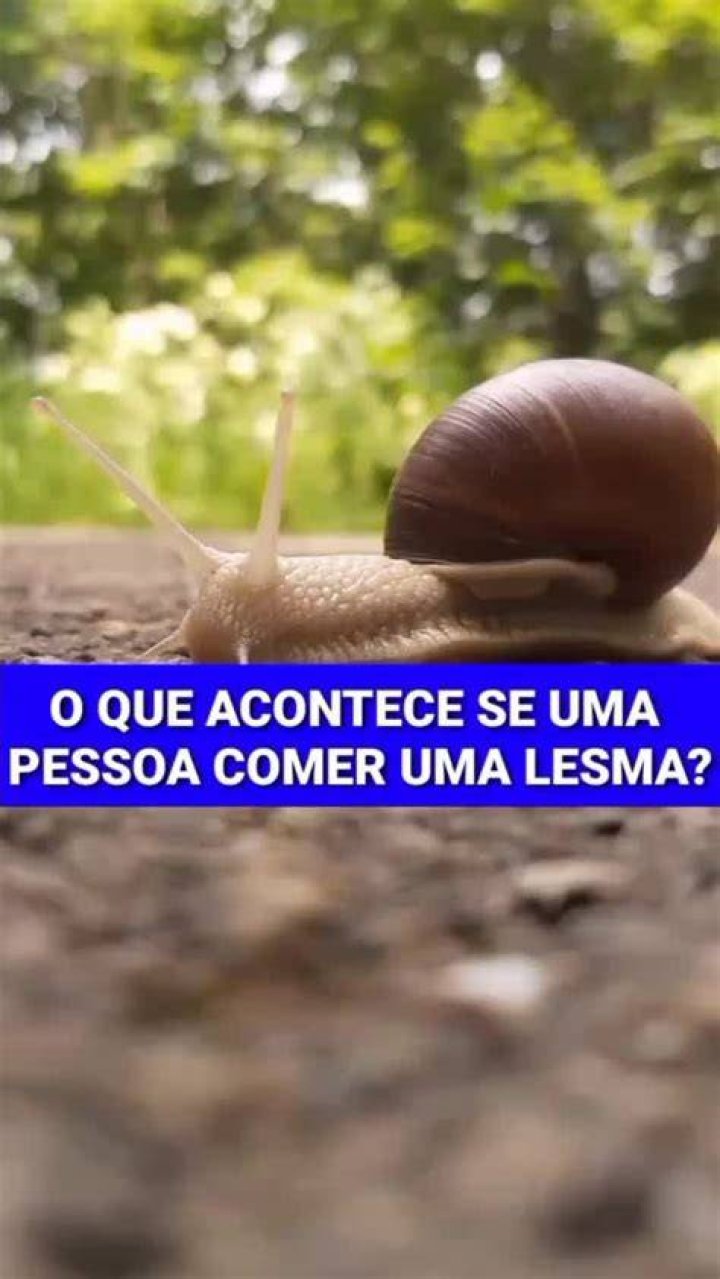 E se eu acidentalmente comer uma lesma?