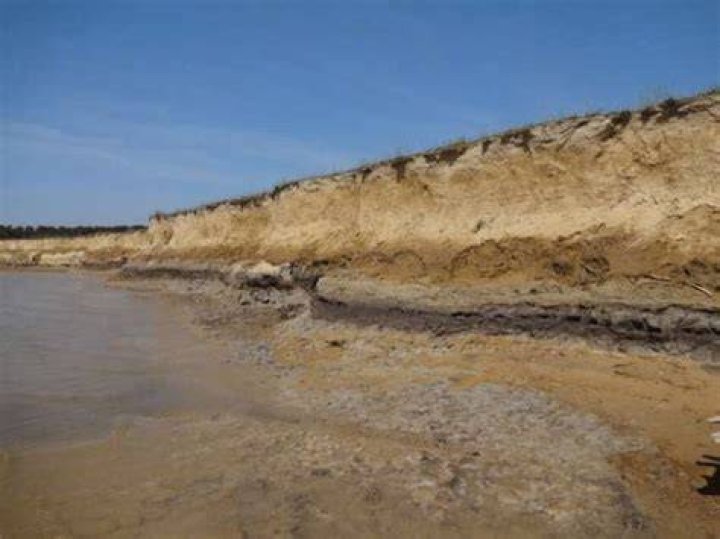 Eroding Parsons Island Shoreline