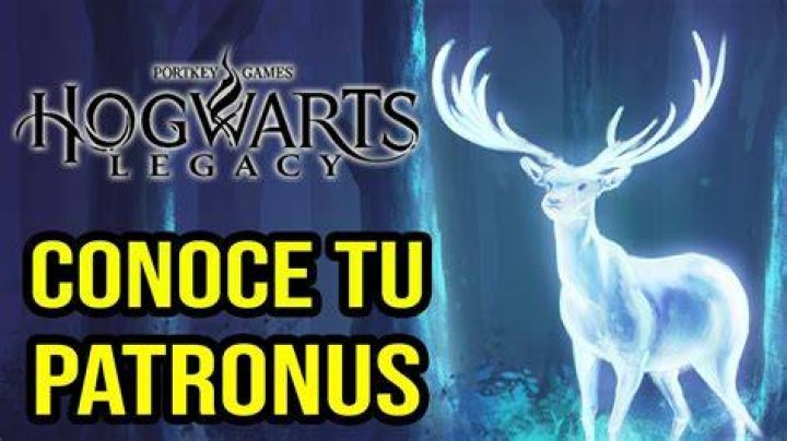 ¿Es Wildcat un buen patronus?