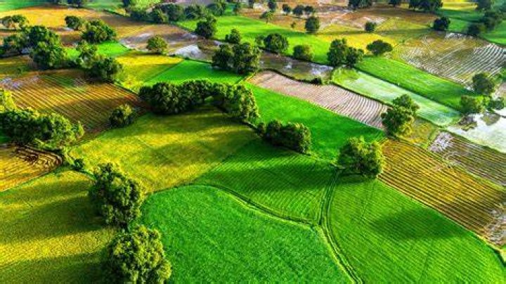 Fields Town