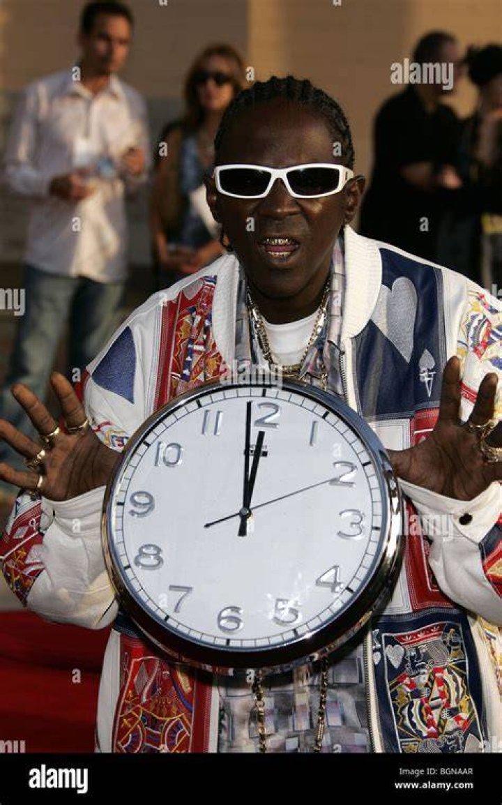 Flavor Flav Portrait 2017