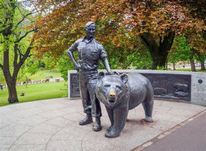 Fun History Facts Wojtek The Bear