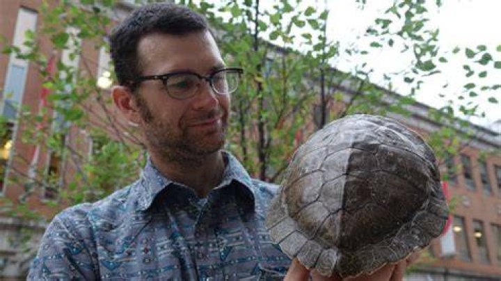 Gregory Bulte Holding A Turtle