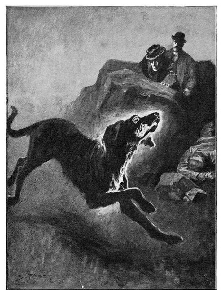 Hound Of The Baskervilles