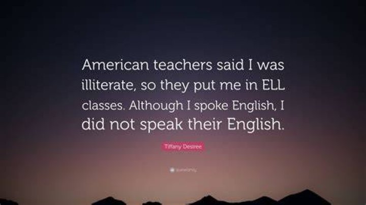 Illiterate Teachers