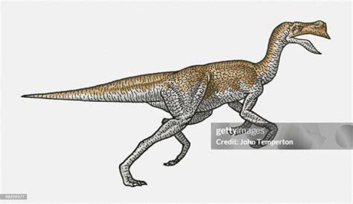Illustration Of Unhatched Oviraptorosaur