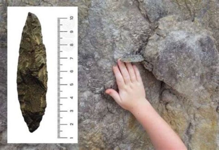 In Situ Bifate
