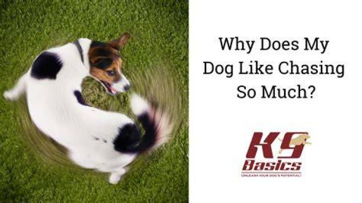 I&rsquo;m like a dog chasing cars, I wouldn&rsquo;t know what to do if I caught one, you know, I just do&hellip;things.