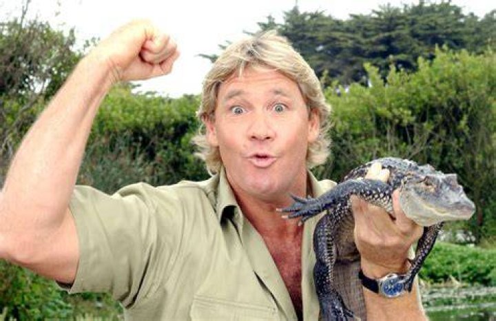 Irwin's Turtle