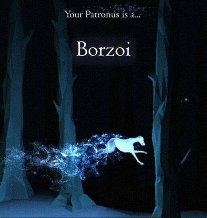 Is a Borzoi a good Patronus?
