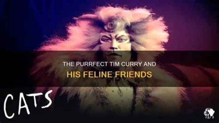 Is Tim Curry in cats?