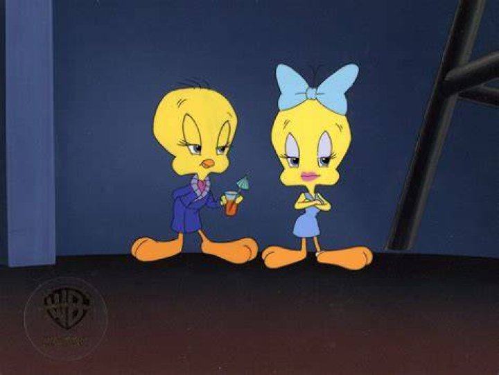 Is Tweety Bird a boy or a girl?