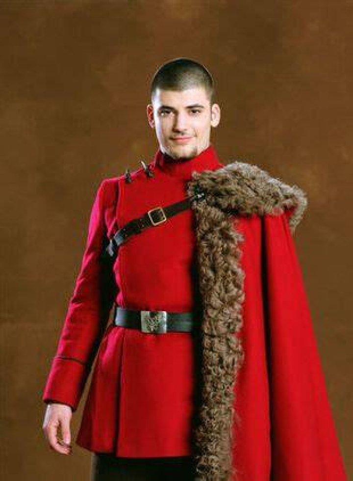 Is Viktor Krum a pure blood?