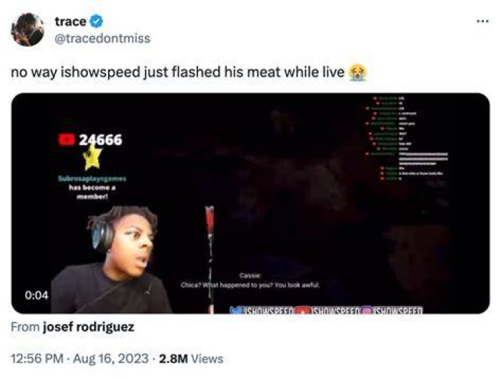 IShowMeat Trends After IShowSpeed Flashing Incident