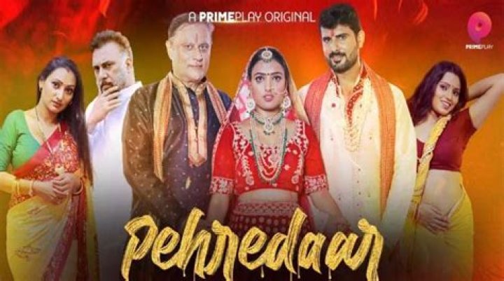 Jayshree Gaikwad worked in Pehredaar