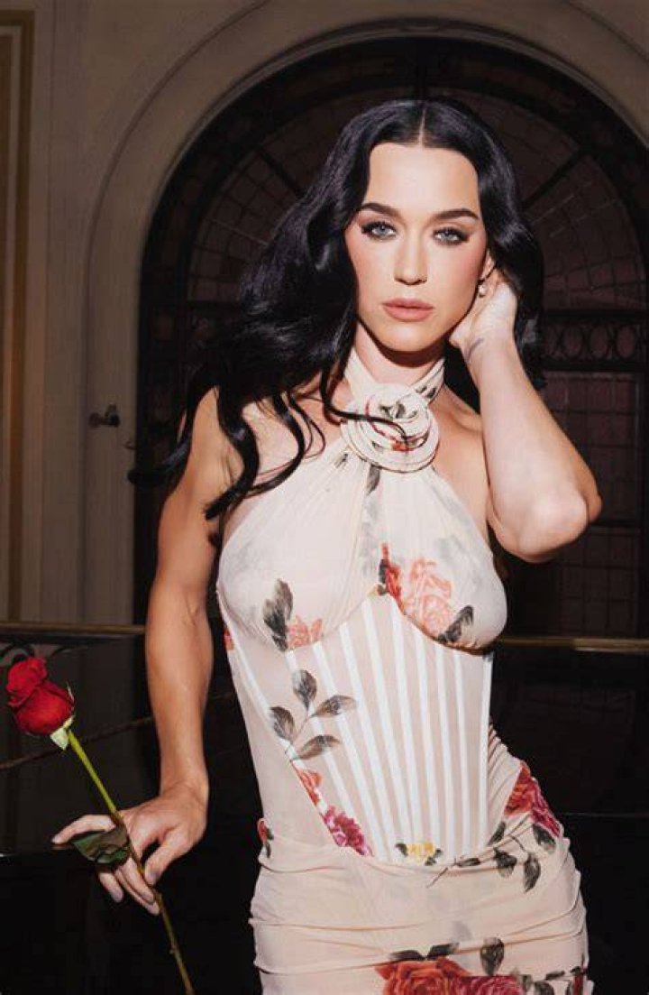 Katy Perry Post-Pregnancy Body, Maternity Bra and Postpartum Underwear