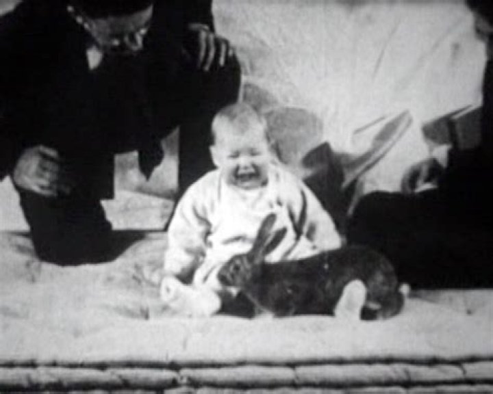 Little Albert Petting The White Rat