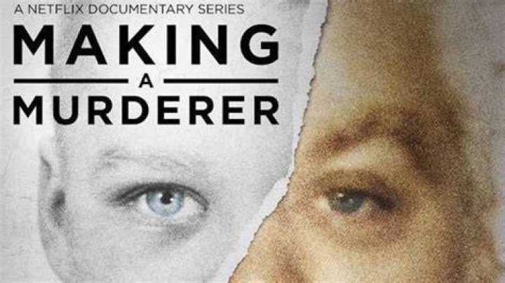 Making A Murderer Theories