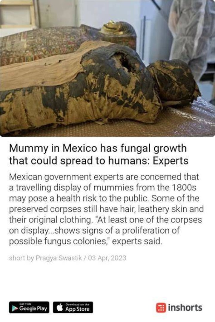 Mexico Mummy Fungus