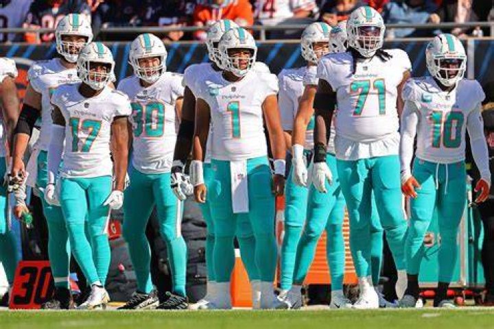 Miami Dolphins (Team) - Members profile, Facts, Wiki, Achievements, Net worth 2024 (updated)